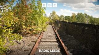 Plans grow to revamp abandoned viaduct