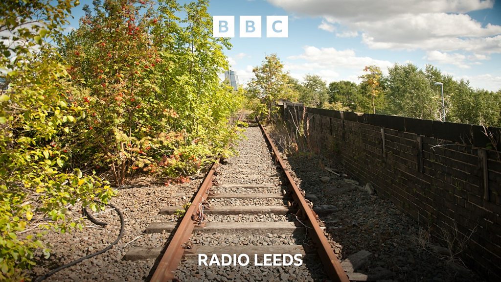 Plans grow to revamp abandoned viaduct