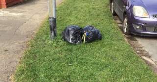 Pair handed fines after rubbish bags dumped on grass verge