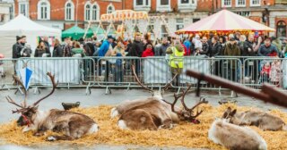 All the festivities in Beverley for Christmas 2025