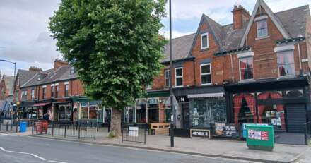 Public feedback wanted for Hull’s Princes Avenue Conservation Area