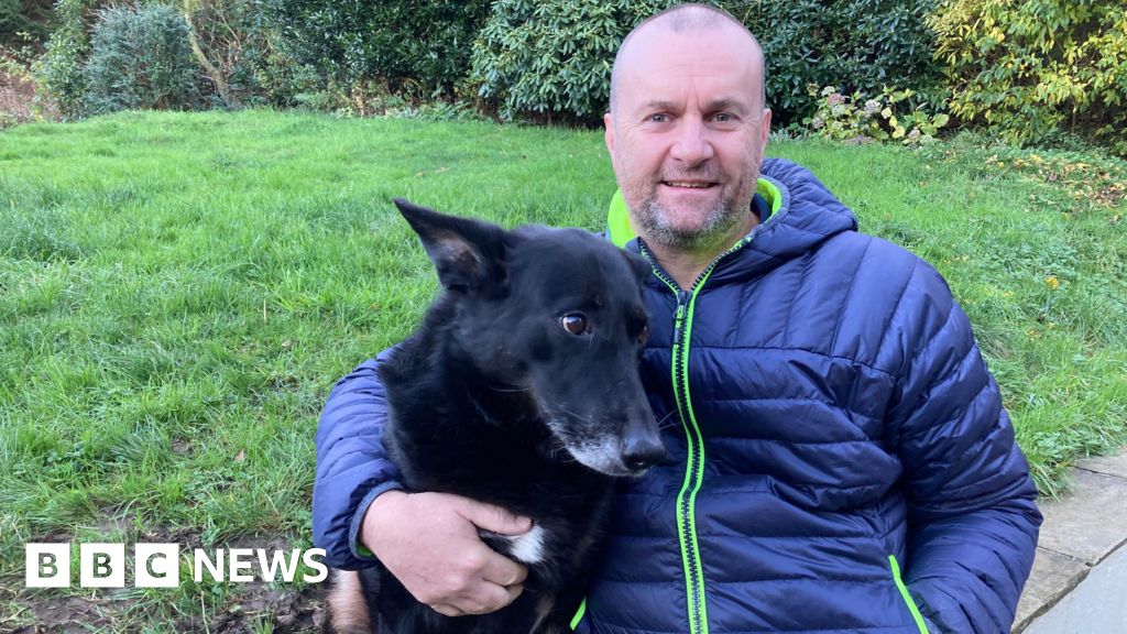 Amazon criticised by Otley dog owner after pet run over by van