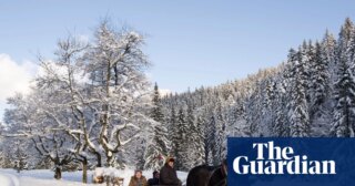 Sleigh rides, spas and snowshoeing: 10 of the best winter holidays in Europe | Europe holidays