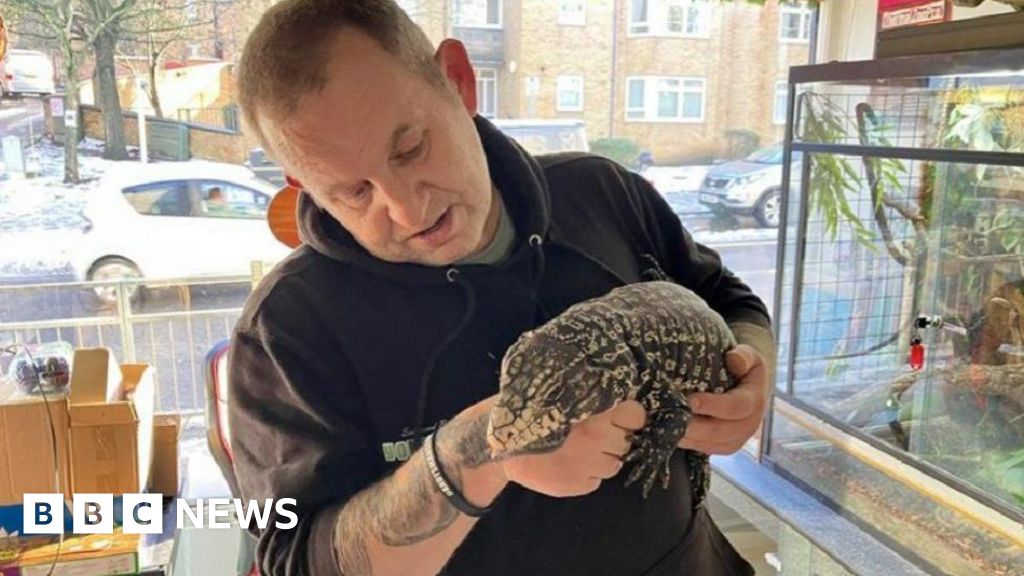 Scarborough reptile shop struggles to keep animals warm in cold