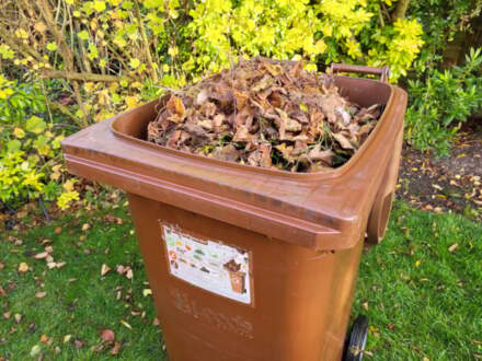 Final Leeds brown bin collections before winter hi-bin-ation