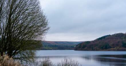 Yorkshire hosepipe ban ends after heavy rain sees water levels recover