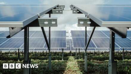 Doncaster council turn down Marr Solar Farm plans