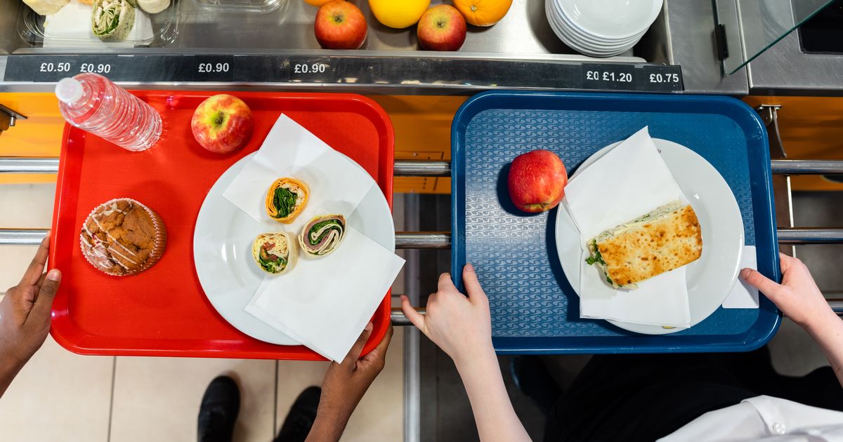 ‘Hull funding for free school meals in holidays must continue’, says council leader