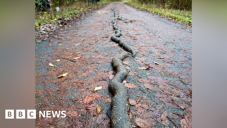 Repairs made as strange “sausage” forms on York bike path