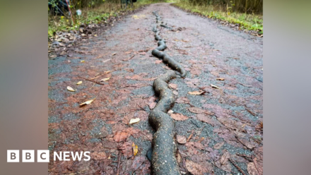 Repairs made as strange “sausage” forms on York bike path