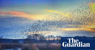‘You can’t beat a wintry walk on a crisp, bright day’: readers’ favourite UK winter activities | Walking holidays