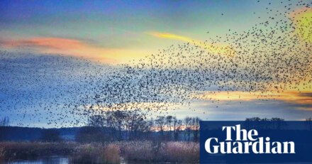 ‘You can’t beat a wintry walk on a crisp, bright day’: readers’ favourite UK winter activities | Walking holidays