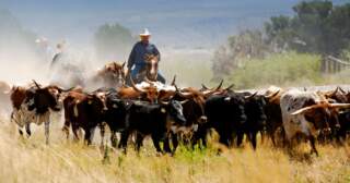 How to watch England World Cup game in Texas and become a cowboy for a day