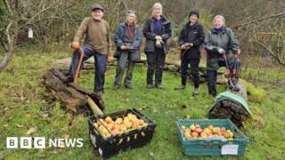 Hundreds sign petition to save Bradford community orchard