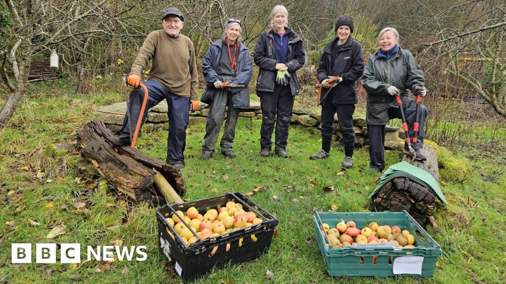 Hundreds sign petition to save Bradford community orchard