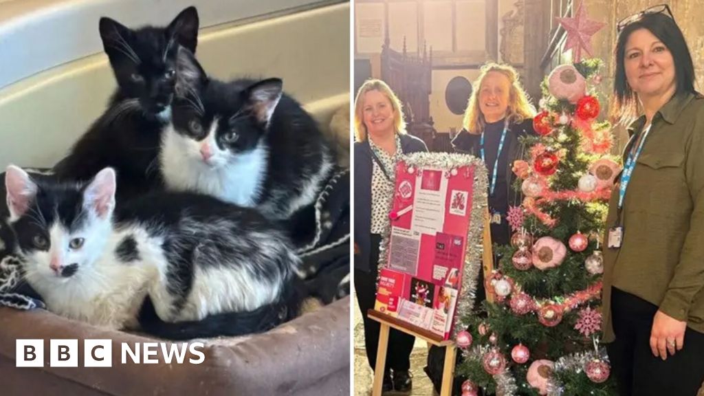 Positive news from Yorkshire to make you smile