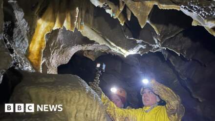 ‘Stumps Cross Caverns digging is fun