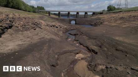 Yorkshire Water hosepipe ban lifted following rainy November