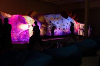 Spectacular interactive giant cat set to visit Wakefield Exchange next spring