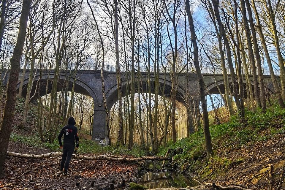 In pictures: Explore Newmillerdam's secluded Edwardian viaducts in the heart of the country park