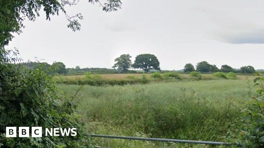 Hedge should not be removed, North Yorkshire Council officer says