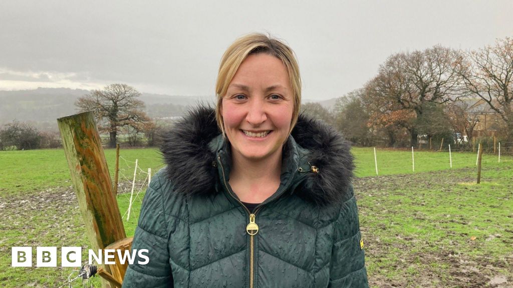 Bradford farm applies to open swimming pool for dogs