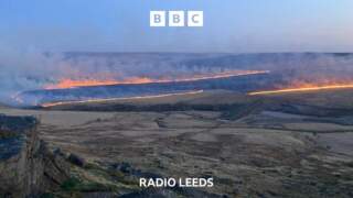 Robotic dogs used to tackle moorland wildfires