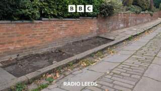 ‘Stone thieves are stealing our street’s history’