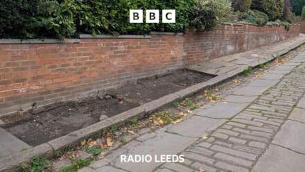‘Stone thieves are stealing our street’s history’