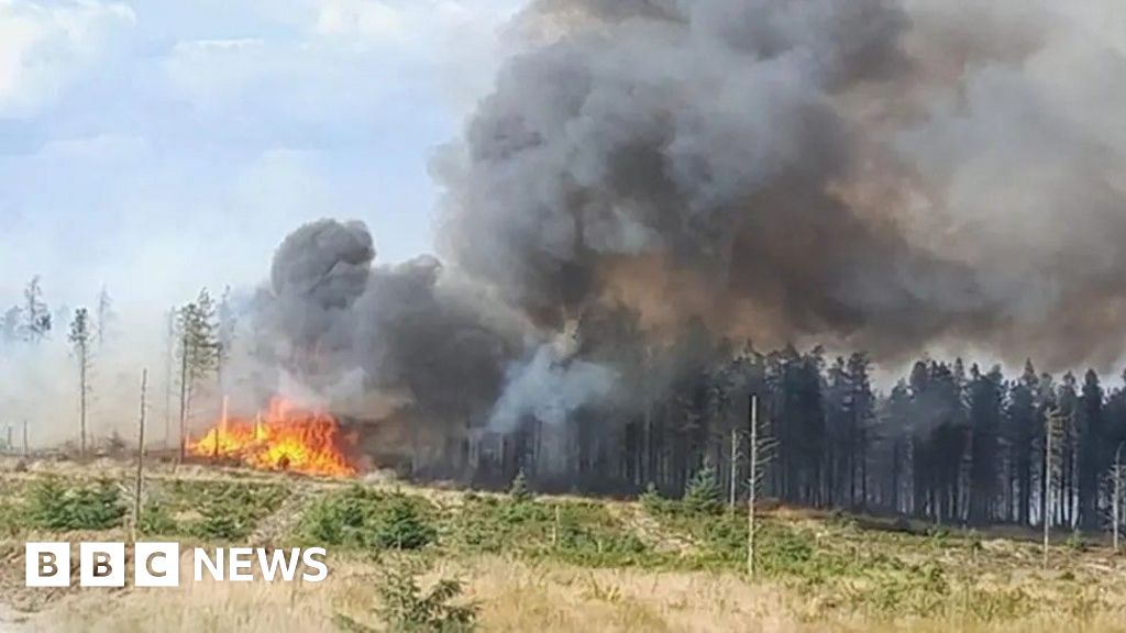 Farmers need more help after huge Langdale Moor wildfire