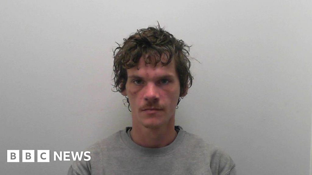 ‘Callous’ thief who targeted elderly woman in York jailed