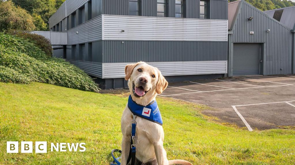 Support dogs charity to create new welfare unit