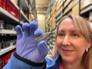 Ancient discoveries reveal fascinating highway through history