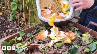 No extra waste bin or fines for households – council