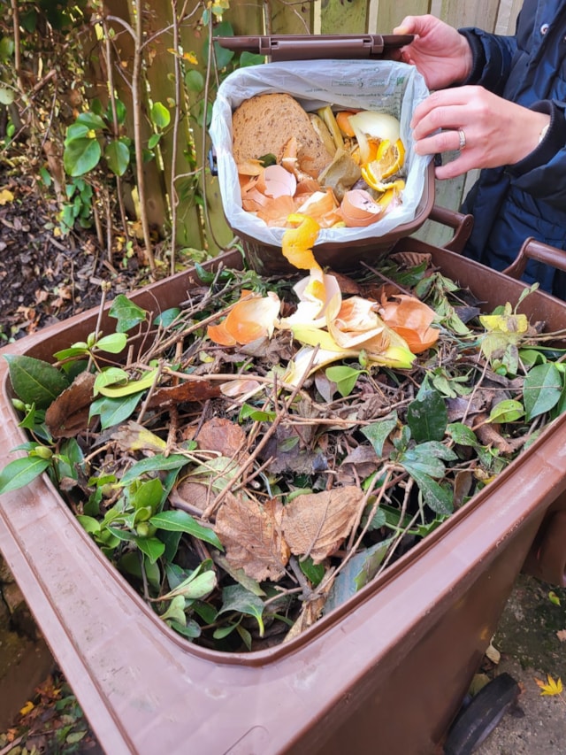 Leeds City Council clarifies position on bin collections as new brown bin food waste trial announced