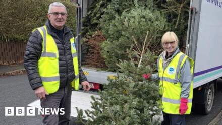Christmas tree collections raise thousands for Bradford charity