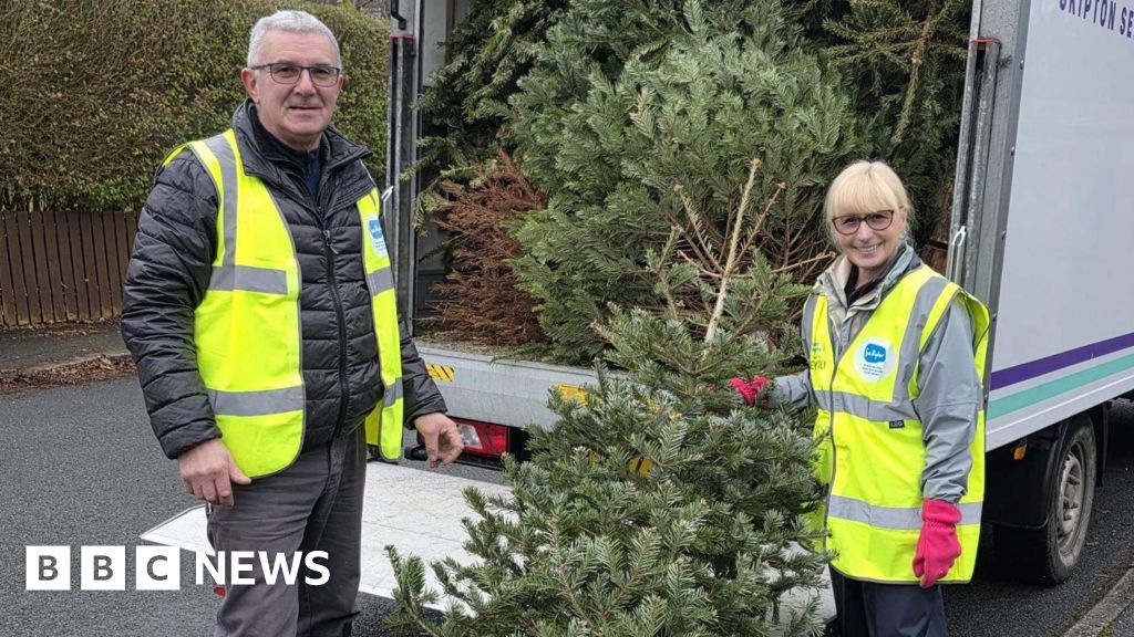 Christmas tree collections raise thousands for Bradford charity
