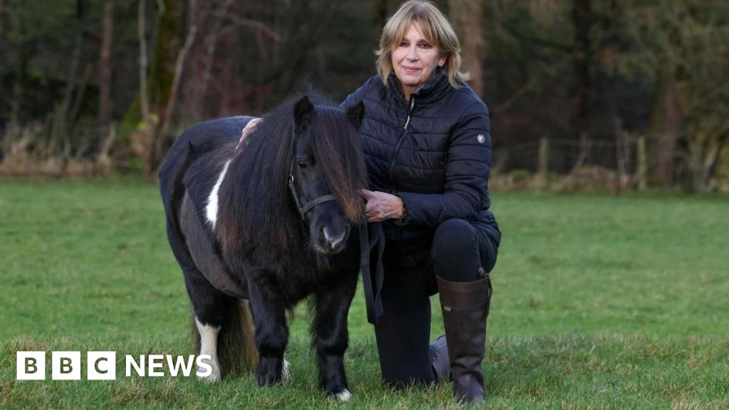 Malton equine hospital saves miniature horse and unborn foal