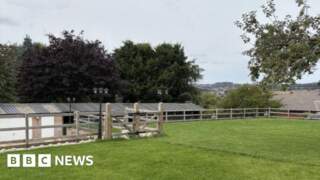 Dog training centre approved despite noise fears