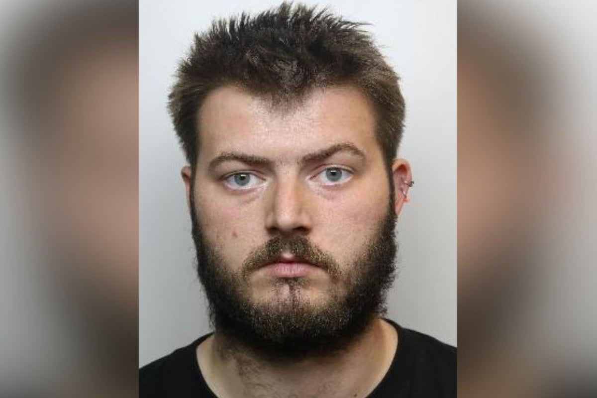 Kieran Birks: Sex offender breached orders to have unsupervised contact with kids after befriending their mum