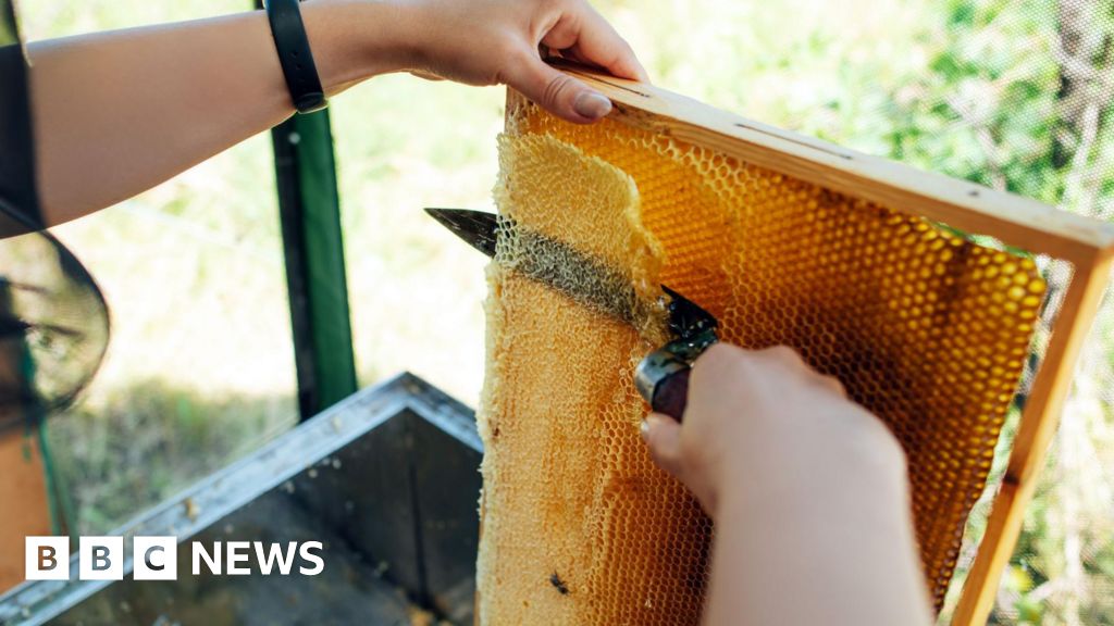 Rotherham honey processing plant ‘should be refused’
