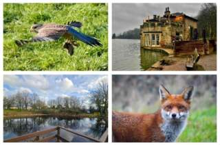 Reader pictures: 14 beautiful photos of the stunning winter scenery in and around Wakefield
