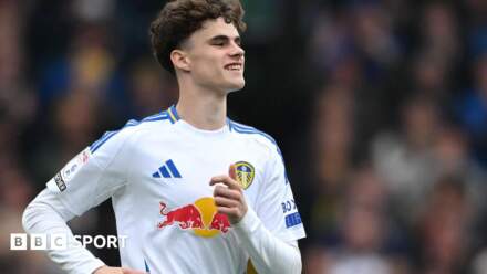 Harry Gray: Rotherham United sign Leeds United striker on loan