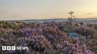 Why is Bradford on Conde Nast’s Seven Wonders of the World list?
