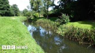 Binning and flushing medicines ‘harming’ river in York