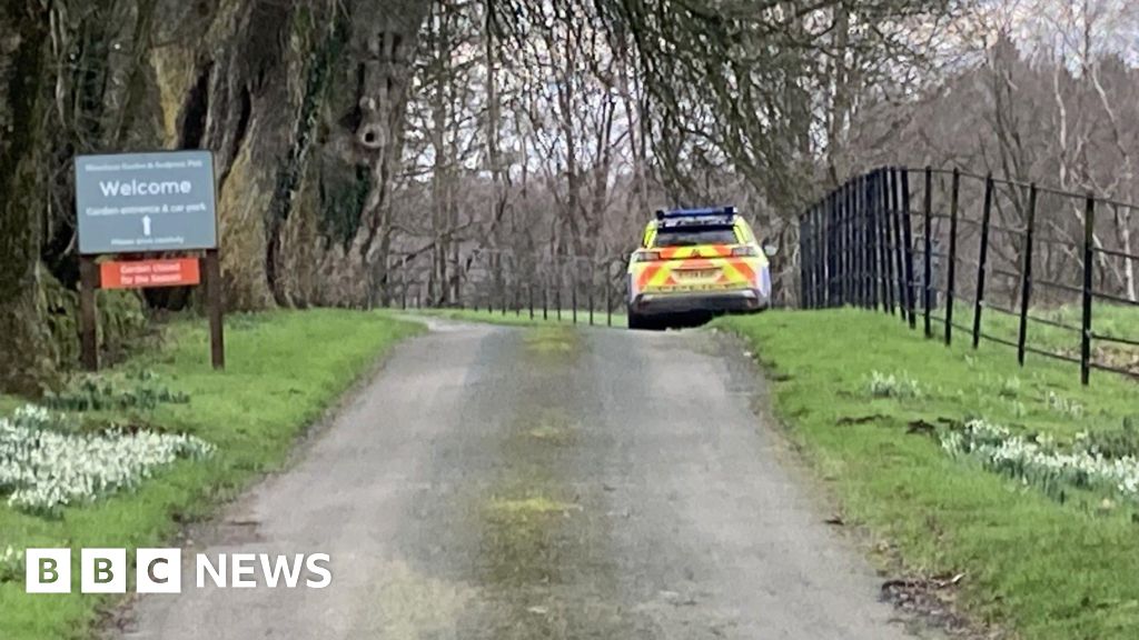 Pilot dies after light aircraft crash