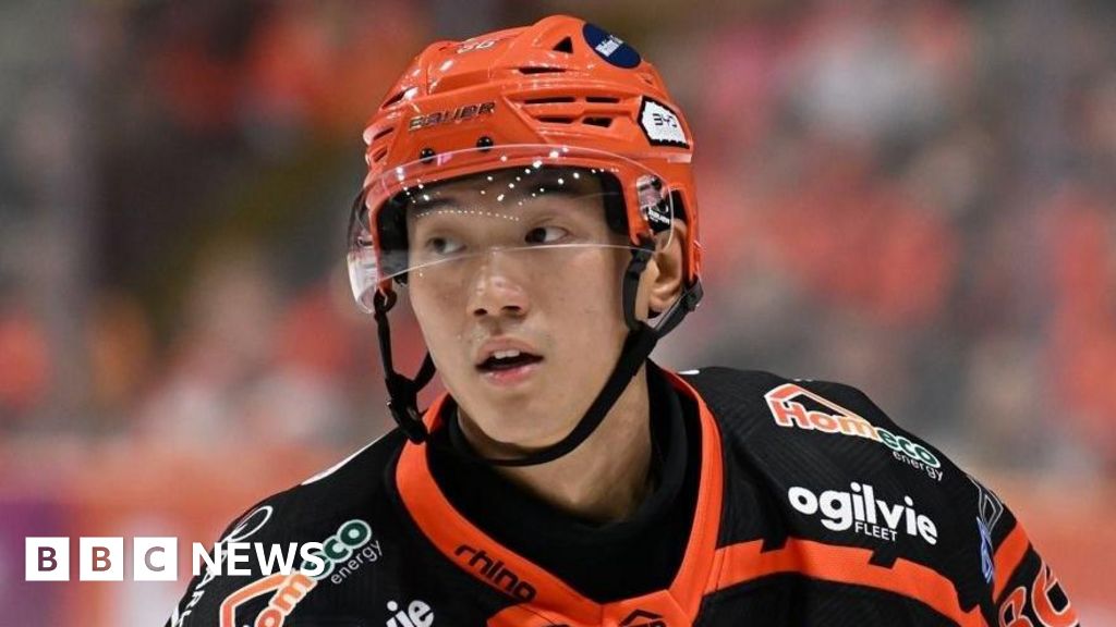Ex-ice hockey player fined for assaulting partner