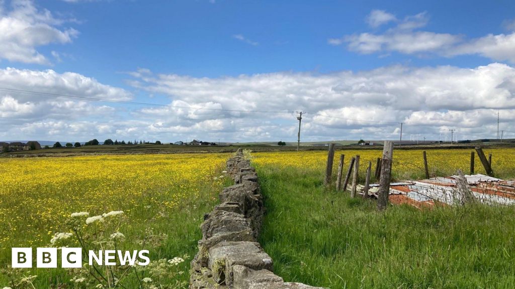 Fears over housing plan for green belt fields