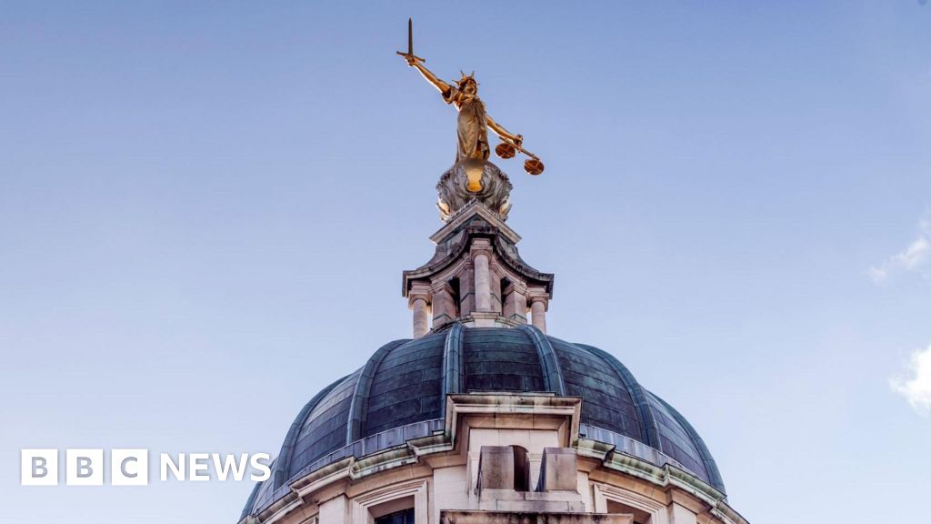 Alleged pro-Palestine protesters deny £1.2m damage