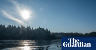 Saunas, safaris and silence in Norfolk: a winter weekend on a rewilded retreat | Suffolk holidays